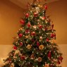 Weihnachtsbaum von Michael D (Marblehead, MA, USA)