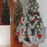 Árbol de Navidad de Triple Efecto (Bella Unión, Uruguay)