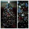 Weihnachtsbaum von baseball xmas tree (Miami, Florida, USA)