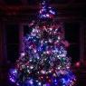 Weihnachtsbaum von Steve and Katrina Hatch (Upstate NY, USA)
