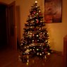 Diego Luaces's Christmas tree from Zaragoza, España