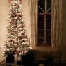 Carolina Diaz's Christmas tree from Miami, Florida, USA