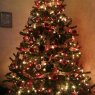 Kate Myers's Christmas tree from Baltimore, MD, USA