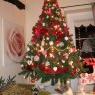 Árbol de Navidad de louette (Miniac morvan, France)