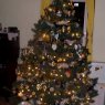 Árbol de Navidad de Bruins Christmas montiors work on top of tree  (Gardner, Ma, USA)