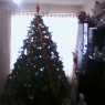 arbol de navidad's Christmas tree from mexico