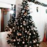 Weihnachtsbaum von Bibi Mamani Mattaliano (Santa Fe, Argentina)