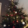 Weihnachtsbaum von Anne Grenouilleau (France)