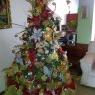 Nakary Graterol's Christmas tree from Rio Chico, Venezuela