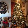 Patsy Giannobile's Christmas tree from Hammond,Louisiana, USA