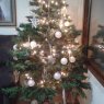 Trufa's Christmas tree from Alicante, España