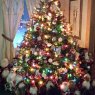 Weihnachtsbaum von Manheim Christmas Tree 2014 (Mariaville, Maine, USA)