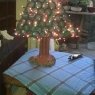 arbol reciclado 's Christmas tree from buenos aires ,argentina