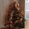 Weihnachtsbaum von Dulce (Miami, Fl, USA)