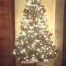 Desiree's Christmas tree from fajardo, Puerto Rico