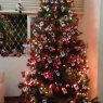 Claudia Tapety's Christmas tree from Recife, PE, Brazil
