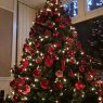 Emma Collins's Christmas tree from United Kingdom
