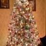 Tracy W.'s Christmas tree from USA