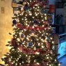 Árbol de Navidad de Morgan tree (Farmington, NH, USA)