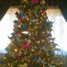 Dragonflies!'s Christmas tree from Aberdeen, Md, USA
