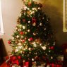 Weihnachtsbaum von Deer in Christmas Lights (Pittsburgh, PA, USA)