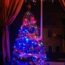 Castro Riveros 's Christmas tree from Valparaiso, Chile 