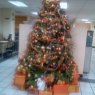 Weihnachtsbaum von jose roberto muñozme (Guadalajara Jalisco Mexico)