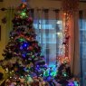 DECARO sebastien 's Christmas tree from Nice, France