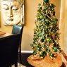 Jeremy Ryan's Christmas tree from Austin, TX, USA