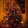 Sidhdharth Soni's Christmas tree from India