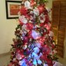 Danny Ramírez-Christmas Red's Christmas tree from Caracas, Venezuela 