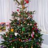 Árbol de Navidad de Jenn (Preston, Lancashire, England)