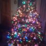 Weihnachtsbaum von Hausalden (Minnesota,USA)