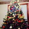 Carlos Cerecedo 's Christmas tree from México