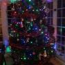 Susan Rhood's Christmas tree from Purcellville,  VA