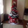 Justine's Christmas tree from Montreuil, France