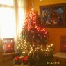 Árbol de Navidad de Grace Barbarina árbol navideño mexicano (México D.F.)