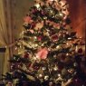 De Grande's Christmas tree from Belgique