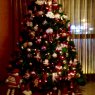 Weihnachtsbaum von Nacho  (Ceuta)