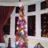 angel tree's Christmas tree from England