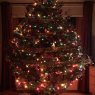 Weihnachtsbaum von Jose Solis (Grand Forks ND)