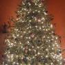 Árbol de Navidad de Rachel & Sean (Clarksville, MD, USA)