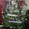 Weihnachtsbaum von paumier (auberville la campagne)