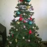 federico picos 's Christmas tree from paysandu,Uruguay 