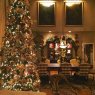 Sapin de Noël de Erin Renfro Renfro Interiors & Gifts (Knoxville, Tennessee, USA)