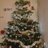 Weihnachtsbaum von rolandin (france)