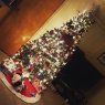 Weihnachtsbaum von First christmas couple tree (Ridgefield, NJ, USA)