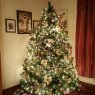 Sapin de Noël de King Family Tree (Albany Ga)