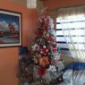 Weihnachtsbaum von Rosa Castro (Miranda, Venezuela)