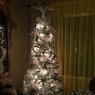 Susan Morgan's Christmas tree from Yucaipa,CA ,USA